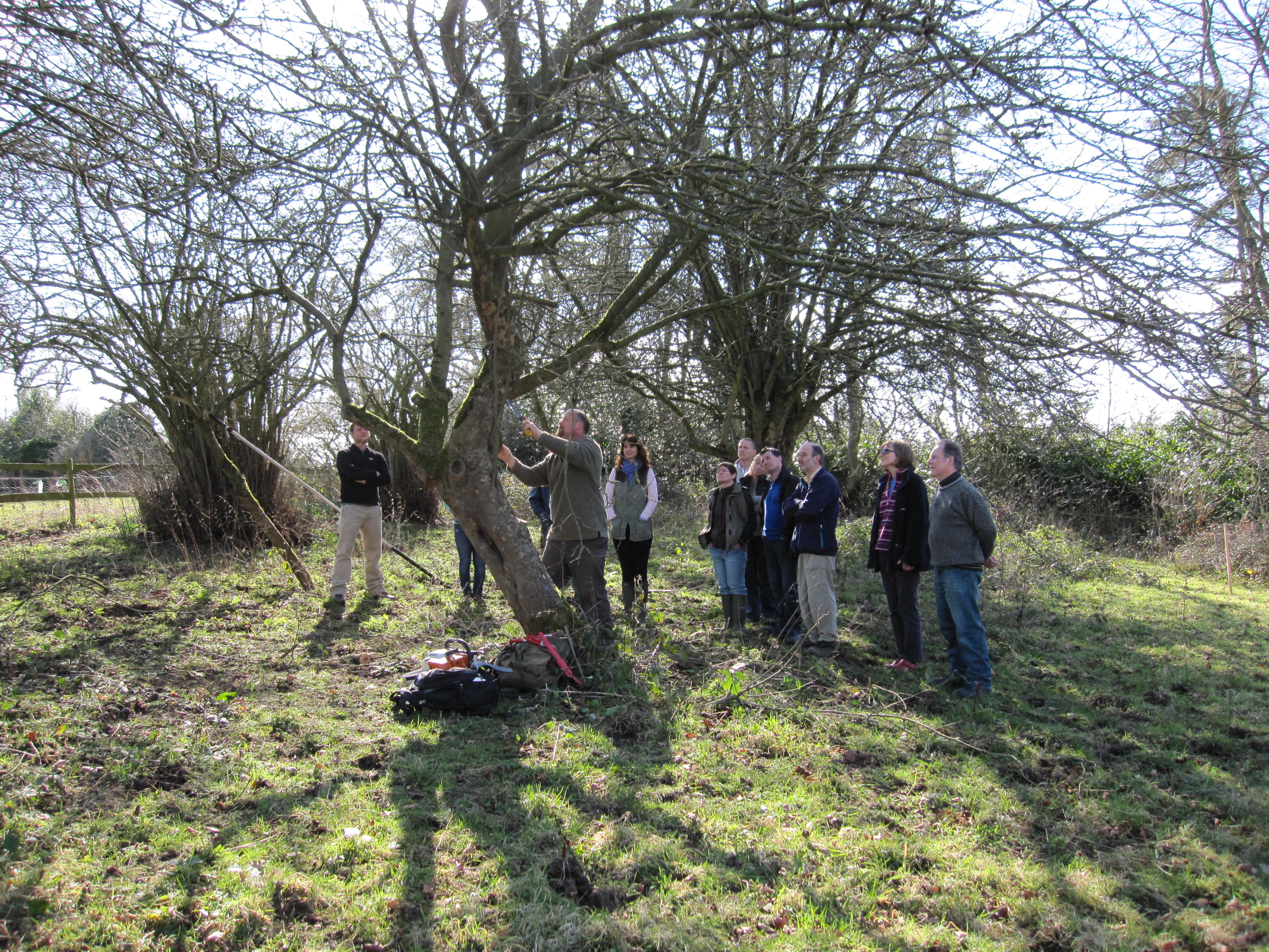 Orchard management